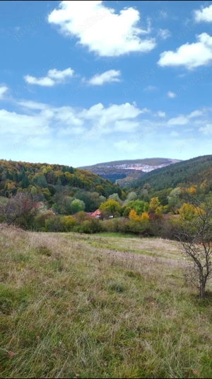 Casă+ teren de vânzare  - imagine 9