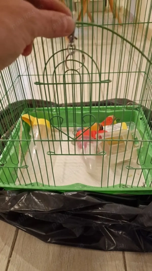 Colivie metalica medie pasari papagal canar pasare + accesorii  - imagine 2