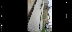 spalieri vie  gard - imagine 5