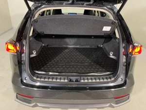 Lexus NX - imagine 12