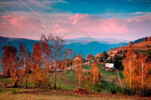 Teren intravilan, 1190 mp, cu PUZ+CU de construire, Marisel, la 500m de partie - imagine 8