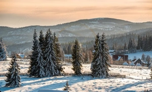 Teren intravilan, 1190 mp, cu PUZ+CU de construire, Marisel, la 500m de partie - imagine 5