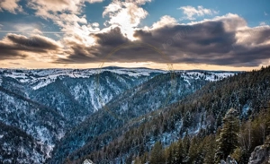 Teren intravilan, 1190 mp, cu PUZ+CU de construire, Marisel, la 500m de partie - imagine 4