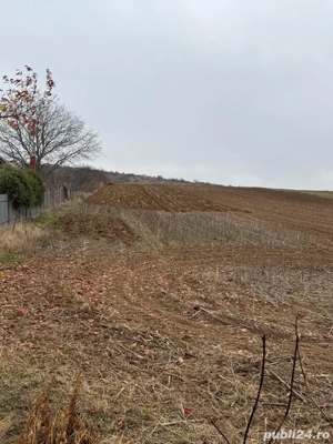 Teren de vanzare 