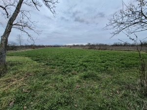 Vând teren intravilan Sudrias zona Traian-Vuia 4300 mp