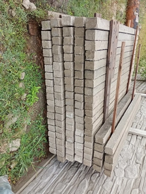 spalieri vie  gard - imagine 3