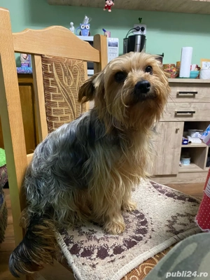 Cadoul perfect de "Mos Nicolae" - imagine 4