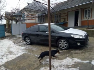 Casa de vanzare Scarisoara, com. Corbasca, jud bacau