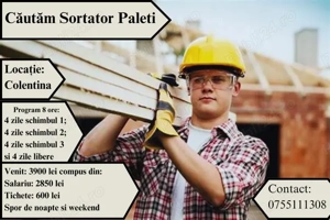 Angajăm Sortator Paleti - Sector 2