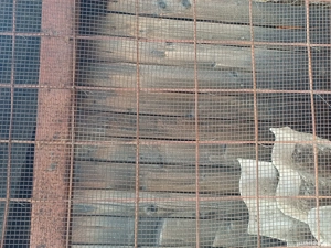 De Vînzare  - imagine 5