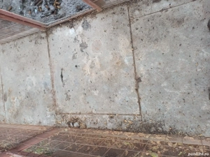 De Vînzare  - imagine 3