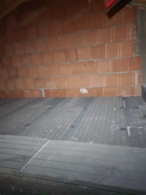 De vanzare duplex in Mosnita, fara comision. - imagine 17