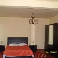 inchiriez Pensiunea Ruxandra de Revelion 2026 - imagine 3