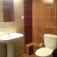 inchiriez Pensiunea Ruxandra de Revelion 2026 - imagine 4