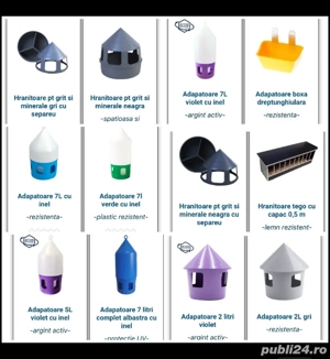 Ucp 2026 2 lei  - imagine 2