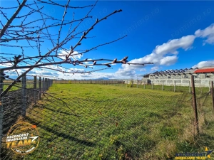 Tur 3D! Casa autentica cu sura,1.800mp teren, in statiunea balneara Valcele,Araci, Covasna - imagine 5