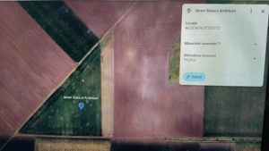 Inchiriez teren pentru parc fotovoltaic - imagine 2