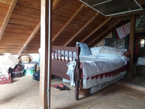 Vand urgent casa de vacanta o camera cu pod in Ghizdaru - imagine 8
