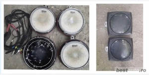 Clavia   Tama paduri tobe electronice