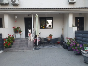 Proprietar vând  3 camere Sânandrei - imagine 9