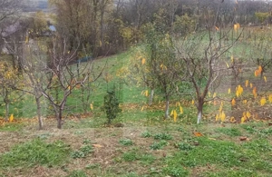 Casă bătrânească cu teren generos – 1.807 mp, Tulbureni - imagine 4