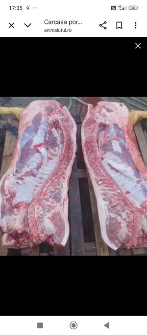 carcasa porc 