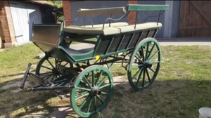 Trasura doi cai - imagine 2