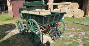 Trasura doi cai - imagine 4