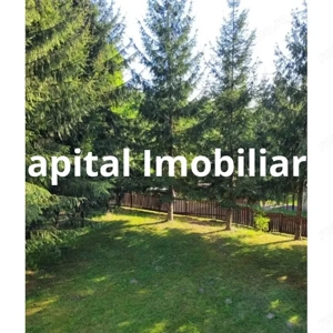 Proprietate Unică în Inima Naturii – Galaoaia, Mureș  - imagine 4