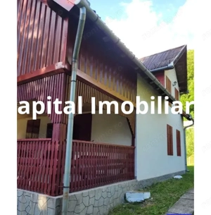 Proprietate Unică în Inima Naturii – Galaoaia, Mureș  - imagine 2