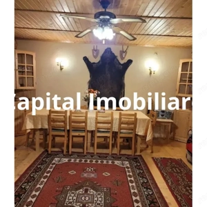 Proprietate Unică în Inima Naturii – Galaoaia, Mureș  - imagine 8