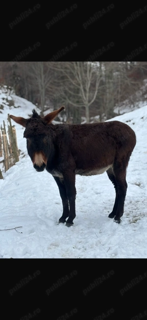 Magari buni de pus la treabă 