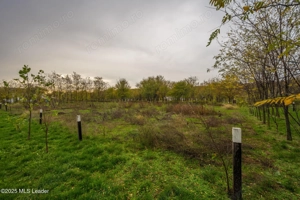 Teren intravilan de vanzare | Cartier rezidențial deosebit | Afumați - imagine 2