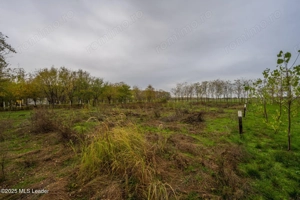 Teren intravilan de vanzare | Cartier rezidențial deosebit | Afumați - imagine 7