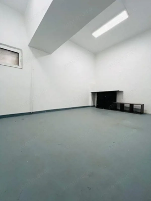 Casă spațioasă, ideal sediu de firma, Zona Parcul Circului.  - imagine 11