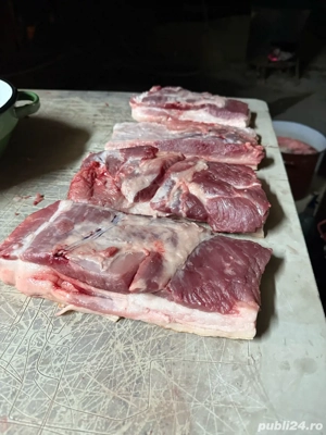porci de carne  - imagine 3