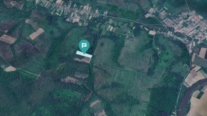 Pădure de foioase – Dorgoş, judeţul Arad - imagine 3