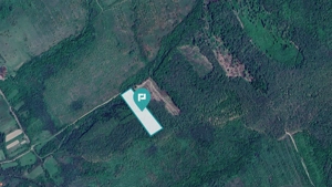 Pădure de foioase – Dorgoş, judeţul Arad