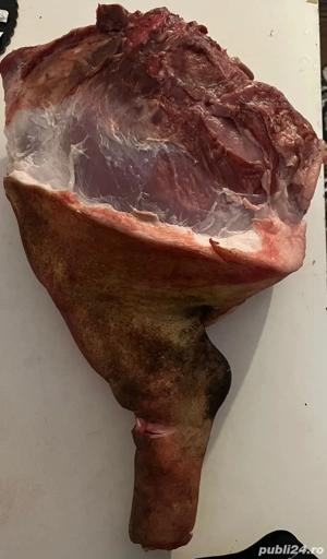 Porci Duroc - imagine 5