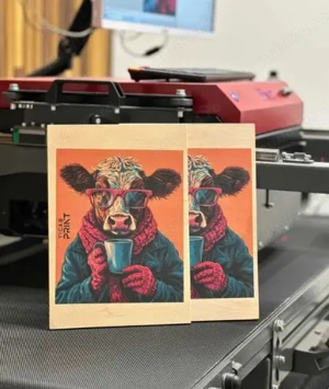 Imprimanta ambalaje si carton , TICAB TPS - imagine 5