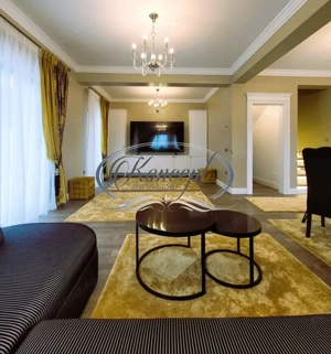 Duplex cu terasa tip rooftop si jacuzzi - imagine 6