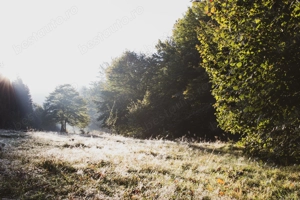 Golf 7 1.6 TDI 2016   Euro 6, Navi, Climatronic, Istoric complet