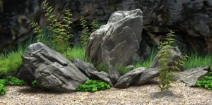 Execut si amenajez acvarii, Ofer servicii de mentenanta pentru acvarii. - imagine 5