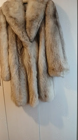 Blana naturala de vulpe argintie - imagine 2