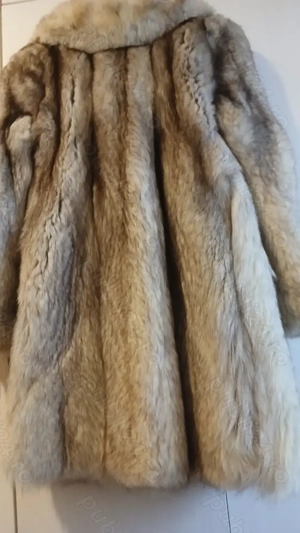 Blana naturala de vulpe argintie - imagine 4