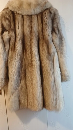 Blana naturala de vulpe argintie - imagine 3