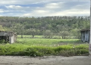 Casă cu cerdac ,grădină mare 3217 si teren 4000 mp un total de 7217 mp.Curent trifazic.  - imagine 2