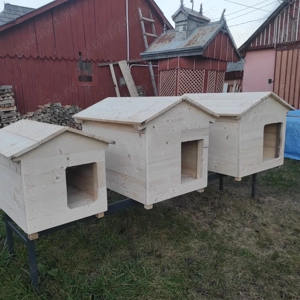 Cușca câine, lambriu sau scândură 