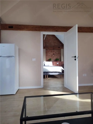 Apartament modern de inchiriat – zona Bartolomeu, la curte, complet renovat - imagine 12