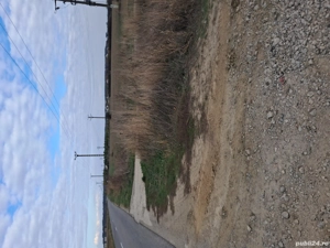 Proprietar, vand teren la Bucovat - imagine 4